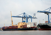 Bài toán về tự vệ của WTO và hiệp định thương mại khu vực.