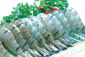 DN chế biến tôm "học" luật chống bán phá giá