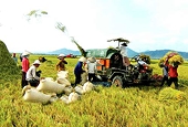 Phá giá trong ngành nông nghiệp - Những bài học kinh nghiệm
