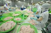 Luật mẫu về chống bán phá giá của tổ chức thương mại thế giới