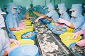 Khóa đào tạo "Pháp luật, kinh nghiệm và kỹ năng đối phó trong các vụ kiện CBPG tại thị trường Hoa Kỳ - EU" tại Bình Định