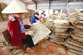 Doanh nghiệp âu lo với hội nhập