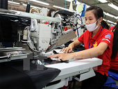 Ngành hàng nào được lợi từ FTA với Liên minh kinh tế Á-Âu?