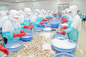 Thương mại Việt - Nga sẽ tăng trưởng mạnh