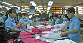 Chưa vào TPP, hàng tỷ USD đã đổ về Việt Nam