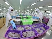 Kim ngạch xuất khẩu thủy sản 6 tháng đầu năm sụt giảm mạnh