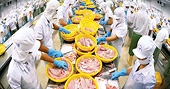 Xuất khẩu vào Nhật Bản: Rào cản quan trọng là tiêu chuẩn kỹ thuật