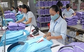 Nỗi lo dệt may Việt Nam trước cửa TPP