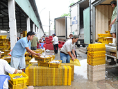 Nông sản Việt lo chuyện hội nhập: Tăng “sức” cho nguyên liệu thủy sản