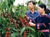 Bảo hộ trật địa chỉ
