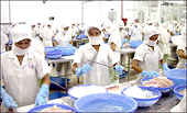 Số liệu các vụ kiện chống bán phá giá, chống trợ cấp và biện pháp tự vệ do EU khởi xướng năm 2013