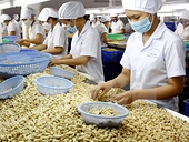 Xuất khẩu nông lâm thủy sản 8 tháng giảm gần 5% so với cùng kỳ