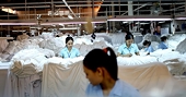 Ấn Độ, Campuchia sợ mất thị phần vào tay Việt Nam vì TPP