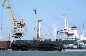Vào TPP, phải thay đổi tư duy quản lý của nhà chức trách