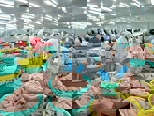 Xuất khẩu thủy sản sụt giảm mạnh