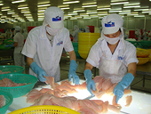 Mỹ ban hành quy định mới với nhà cung cấp cá da trơn Việt Nam