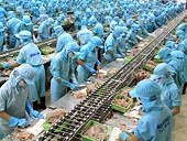 Minh bạch TBT, công cụ “tự vệ” cho doanh nghiệp