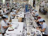 TPP đẩy xuất khẩu may mặc Việt Nam thêm 50%