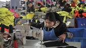 TPP khiến nhà đầu tư bỏ Trung Quốc sang Việt Nam