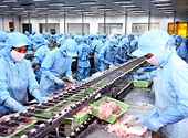 Thủy sản trước hội nhập: Nhiều cơ hội, lắm gian nan