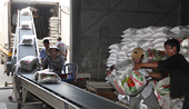 Xuất khẩu gạo khởi sắc đầu năm 2016