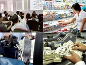 Hội nhập và định hướng...