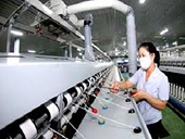 AEC, FTA Việt Nam – EU, TPP: Đừng tưởng… “ngon ăn”