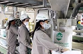 Tăng thuế nhập khẩu phân bón DAP: Bất lợi cho doanh nghiệp nhỏ và siêu nhỏ