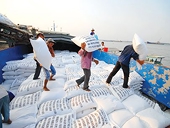 Xuất khẩu gạo đầu năm 2016 sẽ ít bị áp lực
