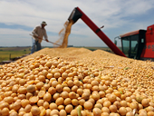 Nhìn lại về thỏa thuận của WTO đối với trợ cấp nông sản xuất khẩu