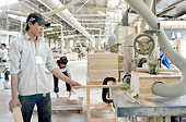 Đưa chế biến, xuất khẩu gỗ thành ngành kinh tế mũi nhọn