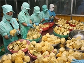 Với TPP, trái cây Việt Nam sẵn sàng chinh phục thị trường khó tính