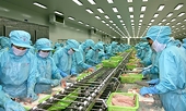 Xuất khẩu thủy sản dự báo sẽ "tăng tốc" từ Hiệp định TPP