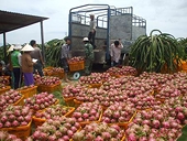 6 thị trường trọng điểm xuất khẩu nông lâm thủy sản trong năm 2016