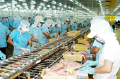 Xuất khẩu thủy sản đang mở rộng sang các nước ASEAN