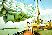 Xuất khẩu gạo gặp khó khăn