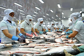 Tổ chức Thương mại Thế giới (WTO) công bố bản bình luận của Việt Nam đối với Đạo luật mới của Hoa Kỳ về việc giám sát bắt buộc đối với cá da trơn, cá tra và các sản phẩm từ cá da trơn, cá tra