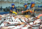 Cá tra Việt Nam tiếp tục được xuất khẩu vào Panama