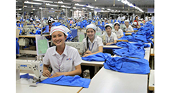 DN cần làm gì khi bị cảnh báo nhập khẩu vào Hoa Kỳ