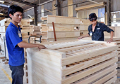 Sớm kết thúc đàm phán về nguồn gốc gỗ XK sang EU