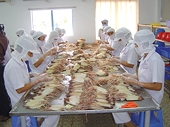Xuất khẩu mực, bạch tuộc giảm