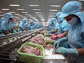 Xuất khẩu nông, lâm thủy sản tăng trở lại: Chưa hết lo