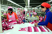 Doanh nghiệp chịu thiệt vì yếu về phòng vệ thương mại