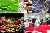Tình hình xuất nhập khẩu giữa Việt Nam và Úc trong năm tháng năm 2016
