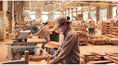Rủi ro tiềm ẩn khi xuất khẩu gỗ sang Mỹ, EU và Úc