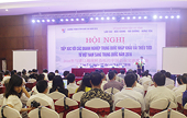 Xúc tiến xuất khẩu vải thiều mùa vụ 2016