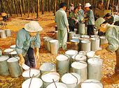 Xuất khẩu nông sản, thực phẩm sang Trung Quốc: Thay đổi tư duy, tránh phụ thuộc - Kỳ I: Khi tiểu ngạch thành… ngạch chính