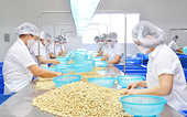 Doanh nghiệp ngành điều "ngắc ngoải"
