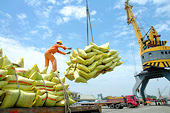 Xuất khẩu 6 tháng cuối năm: Còn nhiều mối lo