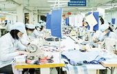 Lo cho xuất khẩu, Bộ Công Thương cần "viện trợ"
